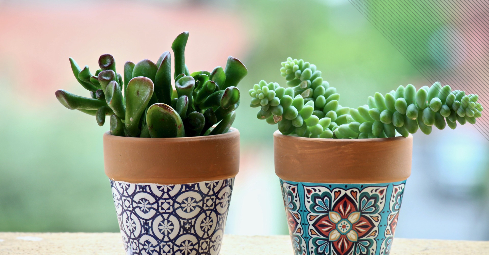 Decoração de Varanda: Plantas em Vasos Coloridos